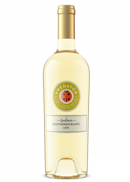 Predator Sauvignon Blanc Loveliness, Case Special